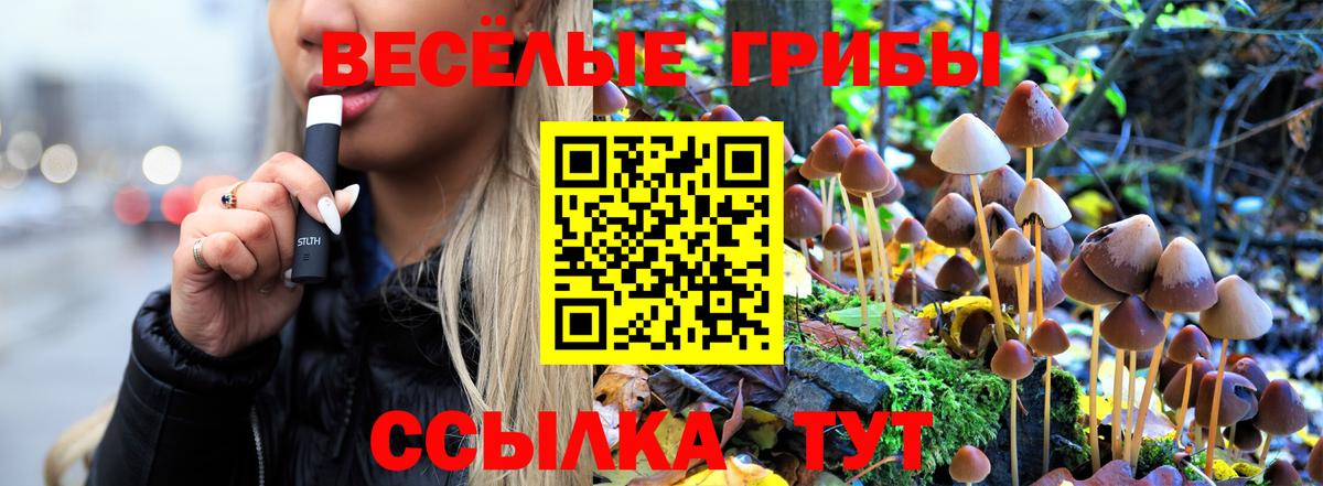Россия  Галлюциногенные грибы ЛСД  Вход с VPN 